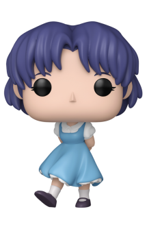 Pop! Animation: Ranma 1/2 - Akane