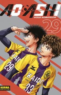 Ao Ashi 29