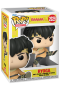 Pop! Animation: Ranma 1/2 - Ryoga